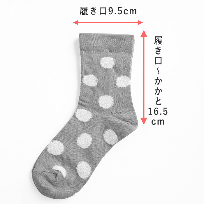 [5 colors] NARU FACTORY Combed Cotton Dot Socks for Women [646500] Minamide Meriyasu Socks Factory Brand