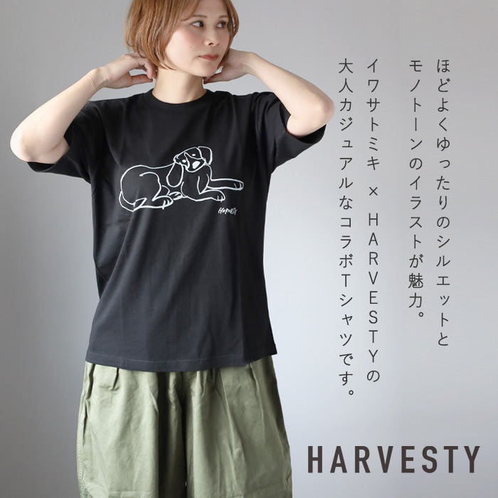 [2 colors, 3 sizes] HARVESTY Iwasato Miki Print Box T-shirt DOG Women's [A52506] Okayama Kurashiki Kojima Standard clothing brand 
