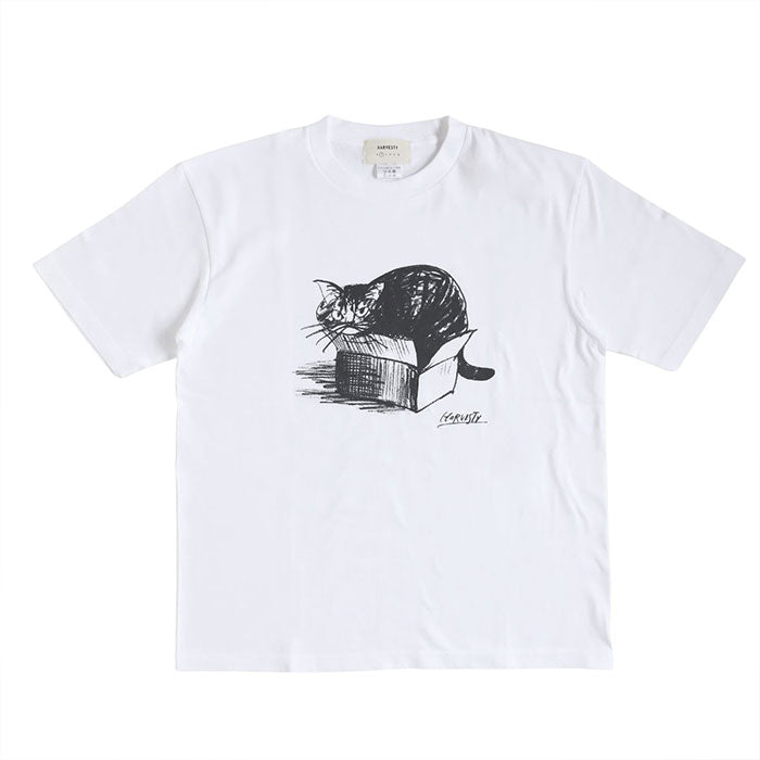 【2色・3サイズ】HARVESTY(ハーベスティ)イワサトミキ プリントボックス Tシャツ CAT-1 レディース [A52609] 岡山 倉敷 児島 定番服 ブランド