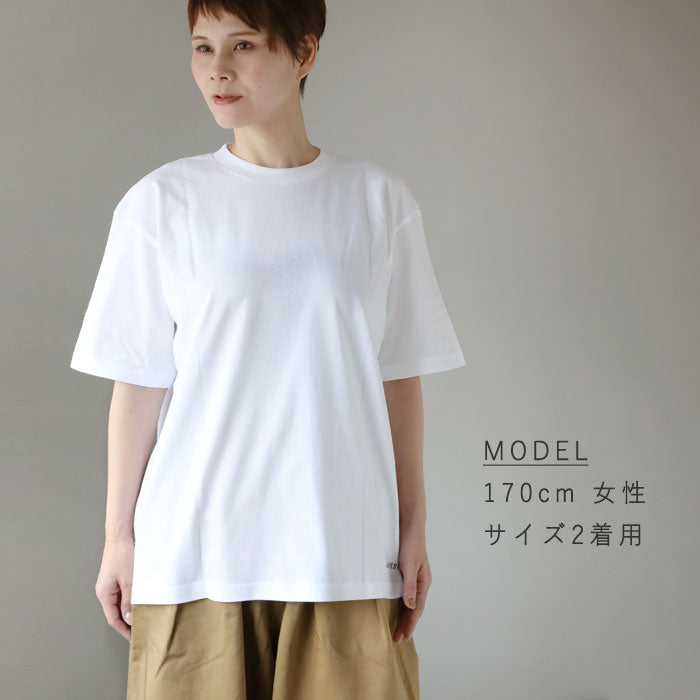 【2色・3サイズ】HARVESTY(ハーベスティ)イワサトミキ プリントボックス Tシャツ CAT-3 レディース [A52612] 岡山 倉敷 児島 定番服 ブランド