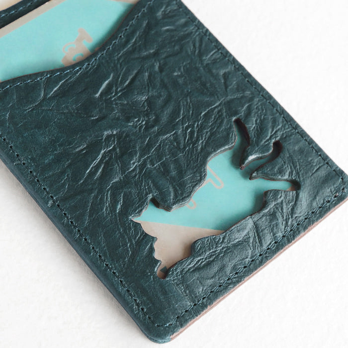 aoneco pass case with reel [an004] waji's protection cat project cat cat commuter case cute fashionable beige brown green black