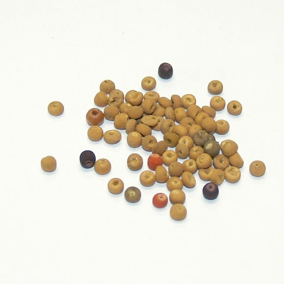 [Choose from 5 colors] Haru Nomura, Plant Dyeing Artist, Haruka Nomura, Wood Bead Bracelet [HN-004]