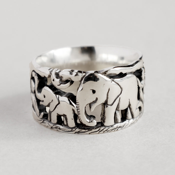 moge (Moge) handmade silver accessories under that sky -budgerigars- silver ring 8.5mm [mo-R-097] 