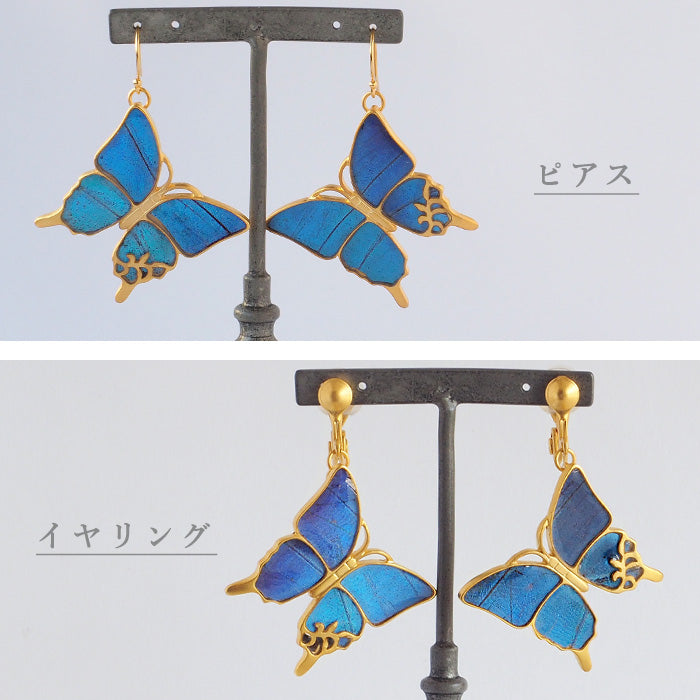 naturama (Naturama) 藍色 morpho 蝴蝶無環耳環 / 耳環 L 尺寸雙耳套裝 [NA02BY] 您可以從 2 種類型中選擇