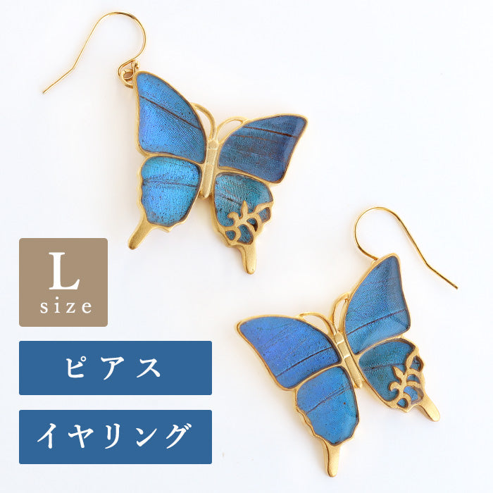 naturama (Naturama) Blue morpho butterfly pierced earrings / earrings L size both ears set [NA02BY] You can choose from 2 types 