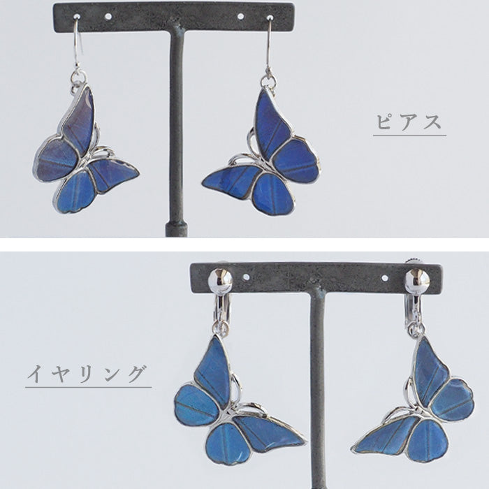 naturama Blue Morpho Butterfly Earrings Silver “M Size” Set of 2 [NA03MY-AG] 