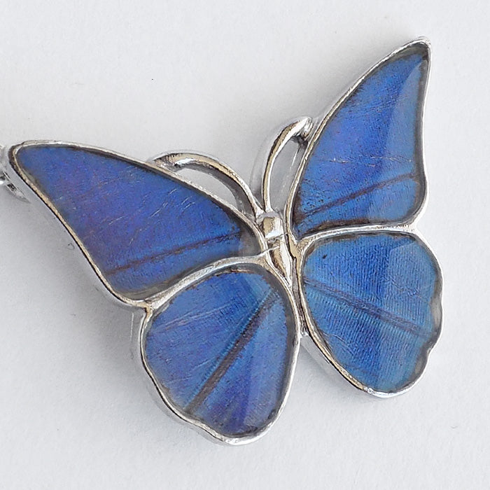 naturama Blue Morpho Butterfly Earrings Silver “M Size” Set of 2 [NA03MY-AG] 