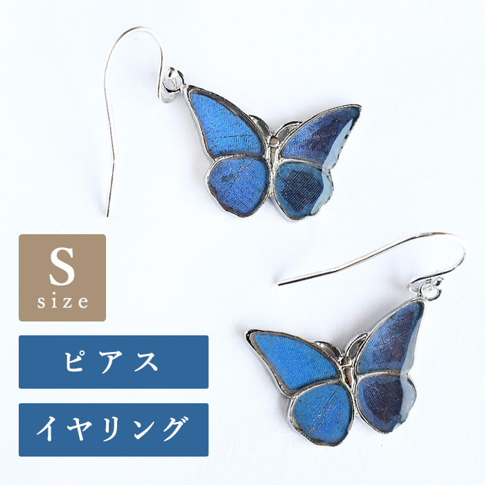 naturama(ナチュラマ) ブルーモルフォ蝶のピアス シルバー “S” 2個セット[NA03SY-AG]