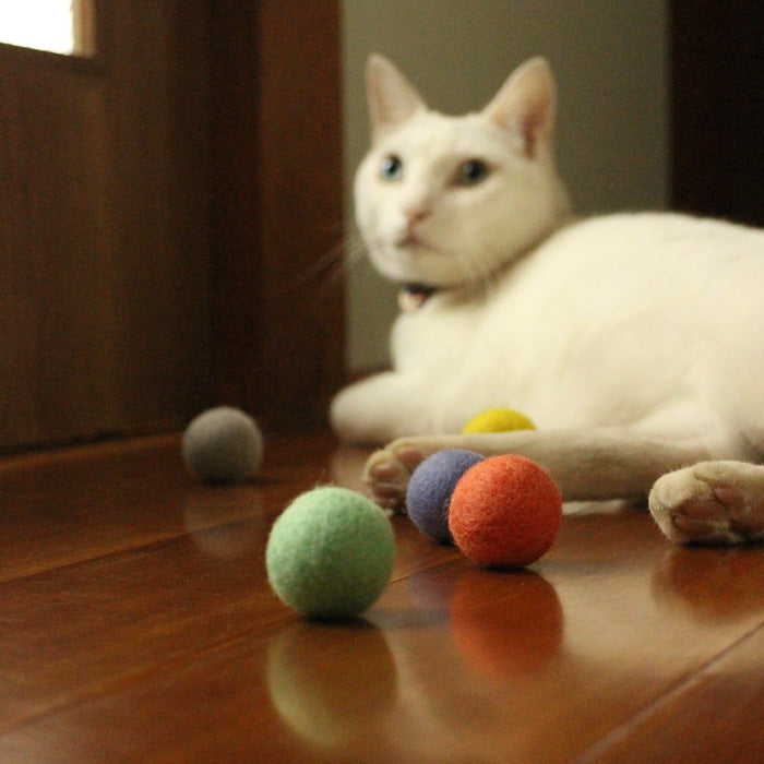 [2 types] ENA KUAM Wool Cat Ball [NEC30F] Nepal Handmade Fair Trade Brand Cat Pet Toy