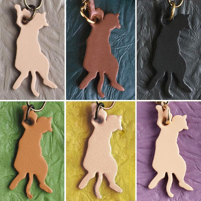 aoneco Gamaguchi Mini Wallet [an002] Waji's Protection Cat Project Cat Wallet Cat Compact Wallet Pouch Accessory Case Cute Beige Brown Green Black