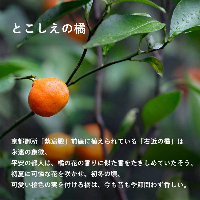 SMART MOVE! Type2 Smart Key Case with Coin Pocket SHRINK Eternal Tachibana (Eternal Orange) [SG001] Rakkei Kobo