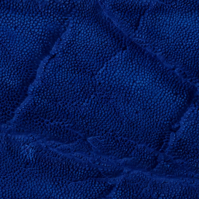 ZOO Wallet Long Wallet Elephant Leather Round Zipper Long Wallet Royal Blue [Z-ZLW-101-RBU]