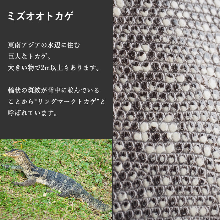 ZOO (ズー) 財布 長財布 トカゲ革 ラウンドファスナー  [Z-ZLW-140]リザード革 ロングウォレット