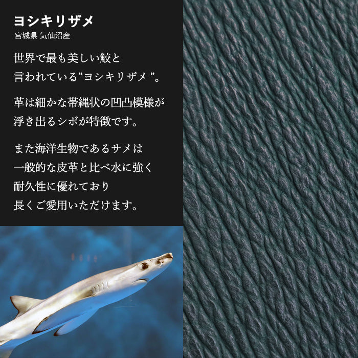 【3色】ZOO (ズー) サメ革 財布 ミドル 二つ折り財布 L字ファスナー 鮫革 ヨシキリザメ 本革 Z-ZMW-031