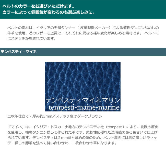 ARKRAFT 製表師 Hidekazu Araki 手工手錶 “PATRICE OCEAN” 高級雙錶帶 [AR-C-022] 