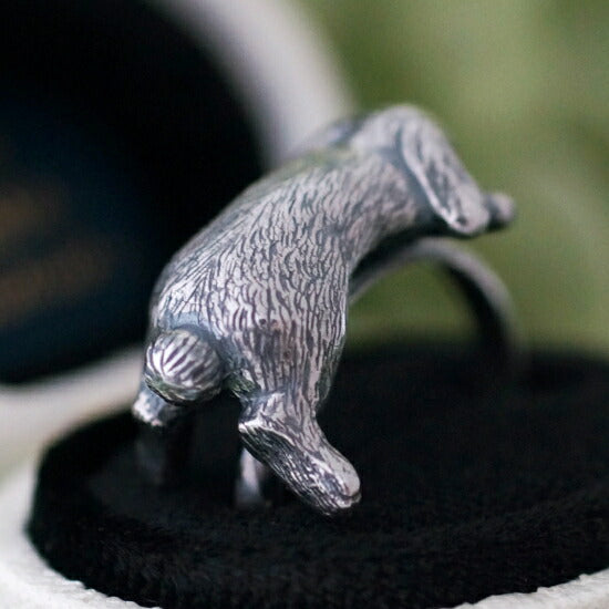 naturama(ナチュラマ) 脱力ロップイヤーのリング [AR74]