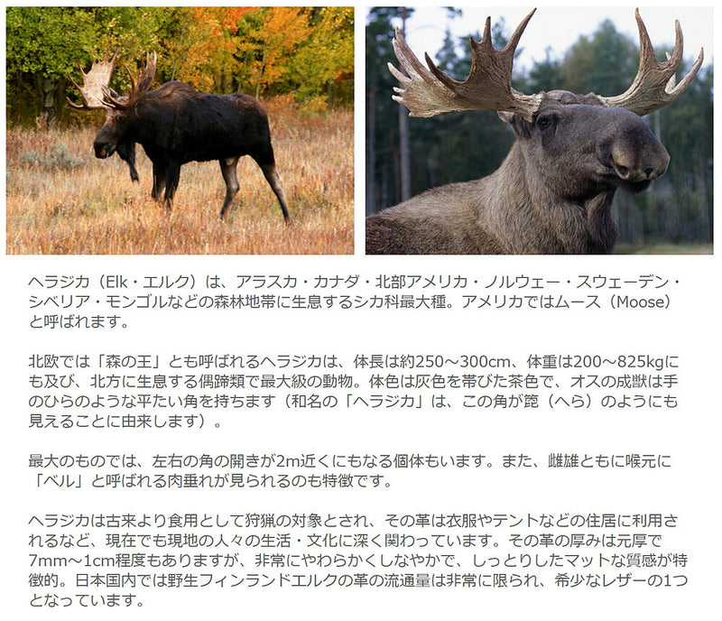 [8 colors] Leather Workshop PARLEY "ELK" Finnish Elk Key Case [FE-11] 