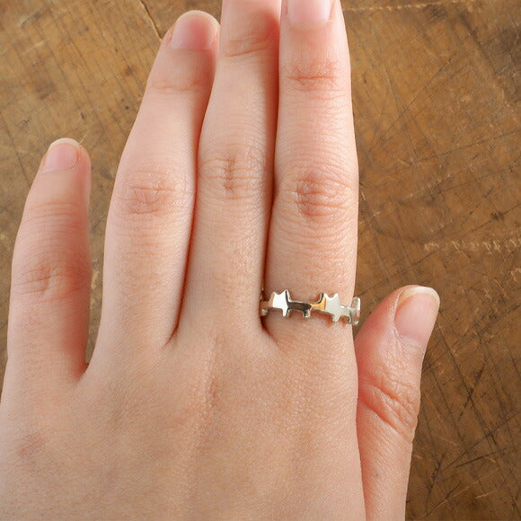 Bronze sculptor Tadashi Koizumi Silver ring "Cat sometimes cat." [KO-RG-01] 