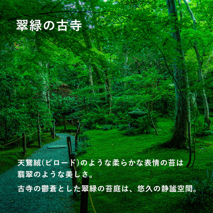 SMART MOVE! (スマートムーブ) Type1 スマートキーケース 財布 翠緑の古寺(カームグリーン) SHRINK [MP1002] スマートキー 2個収納 洛景工房(らくけいこうぼう)