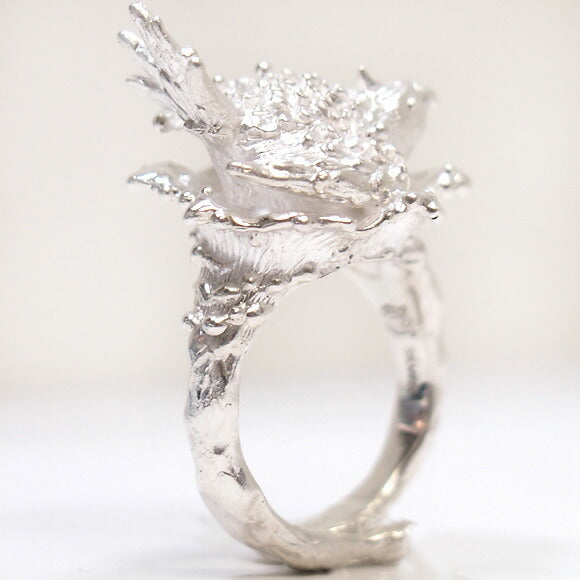 [Choose from 2 colors] marship cockatiel bathing ring silver [MS-1-4] 