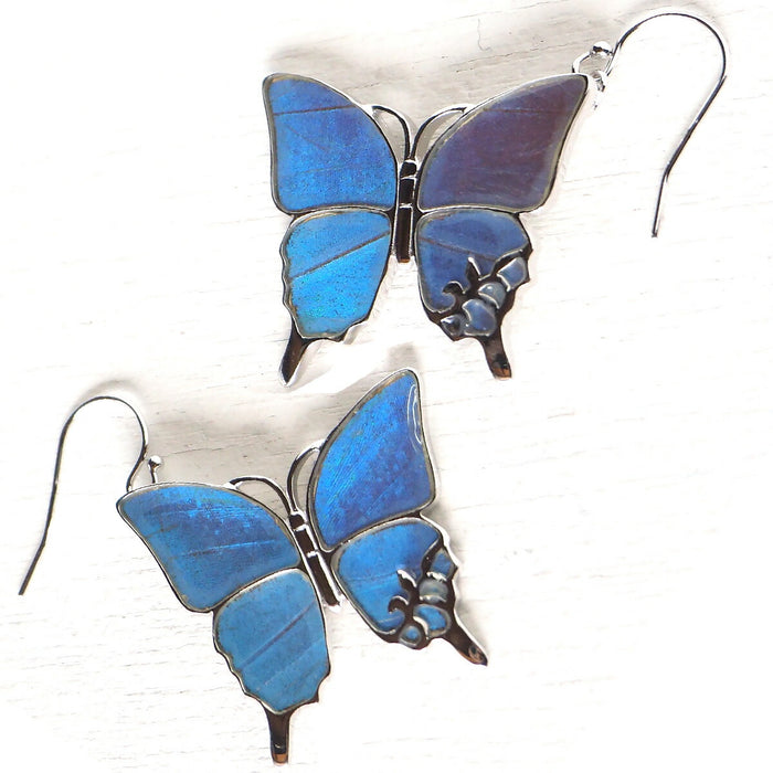 naturama Blue Morpho Butterfly Earrings Silver “L” Set of 2 [NA03BY-AG] 