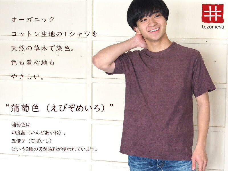 手染メ屋 手染め色無地 吊り編み オーガニックコットン Tシャツ 半袖 “蒲萄色”（えびぞめいろ） メンズ・レディース [OT-EBI]
